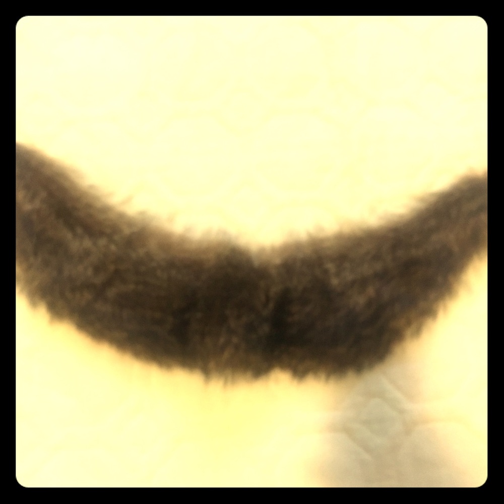 Raccoon fur collar 12”